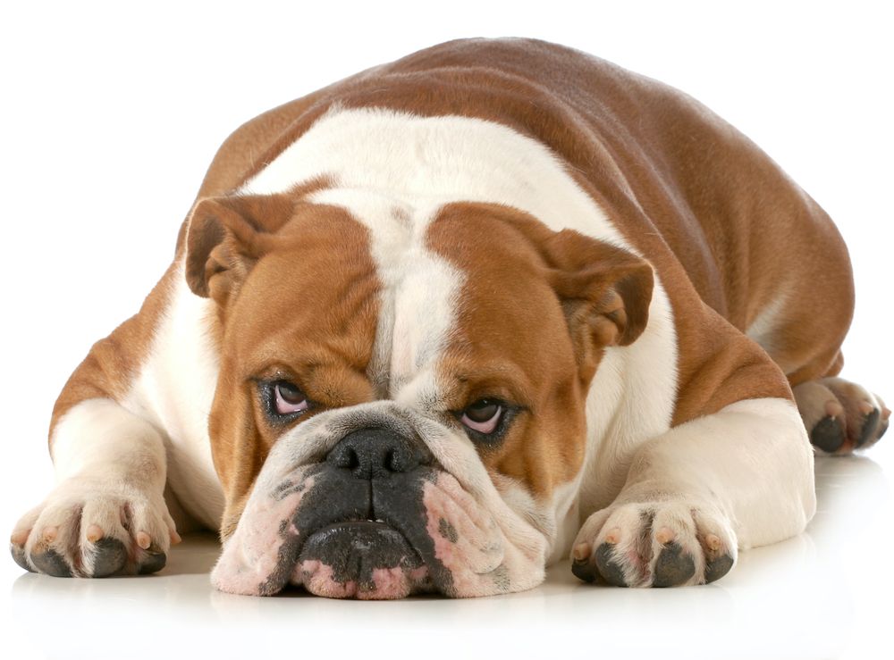 The 2021 End-of-Year Rant